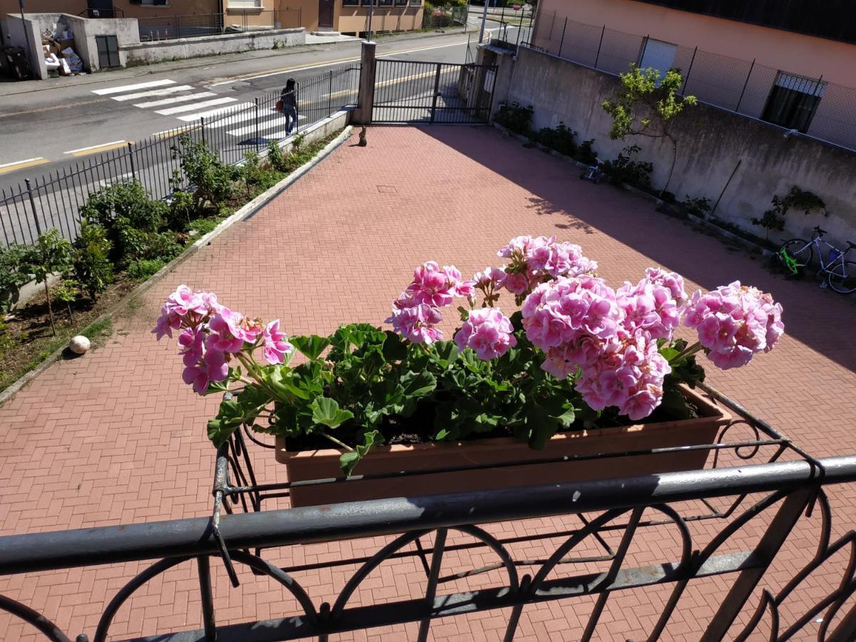 Casa Marina Apartment แวร์บาเนีย ภายนอก รูปภาพ